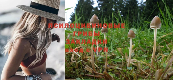 jwh Абинск