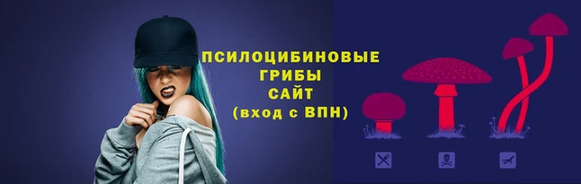 jwh Абинск