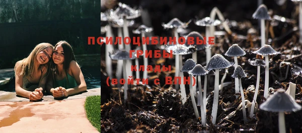 спиды Абаза