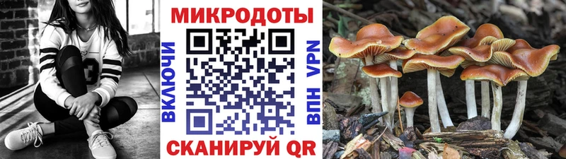 Галлюциногенные грибы Magic Shrooms  Александровск 